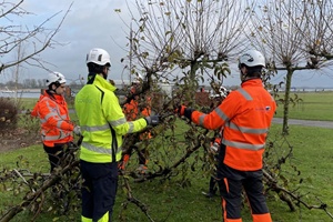 Fruit tree selection Van Oord and Ecowende